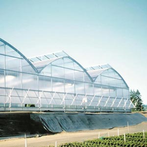  - Commercial Greenhouses