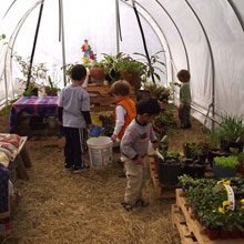 School Greenhouse - Growers Supply