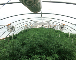 Marijuana Production - Growers Supply