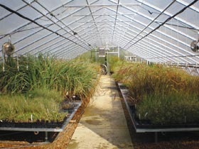 Professional Greenhouse - Growers Supply