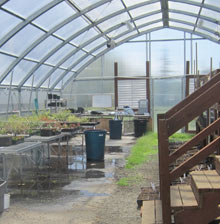 Elma Natural Resources Greenhouse - Growers Supply