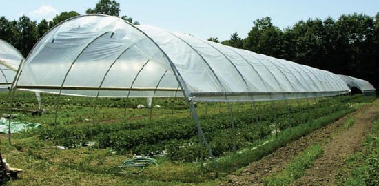 Growing produce in GrowSpan High Tunnels - Growers Supply