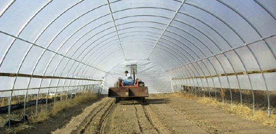 Extend growing season with a GrowSpan High Tunnel - Growers Supply