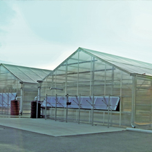 Two Series 500 Extra-Tall Greenhouses - Growers Supply