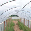 Rafter Kits - Growers Supply
