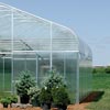 Sun Master® Infrared Anti-Condensate Thermal Greenhouse Film - Growers Supply