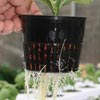 Net Pots - Growers Supply
