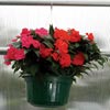 Baskets and Pots - Growers Supply
