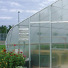 6 mil 4 Year Clear Greenhouse Film - Growers Supply