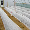 FrostGuard Row Covers - Growers Supply