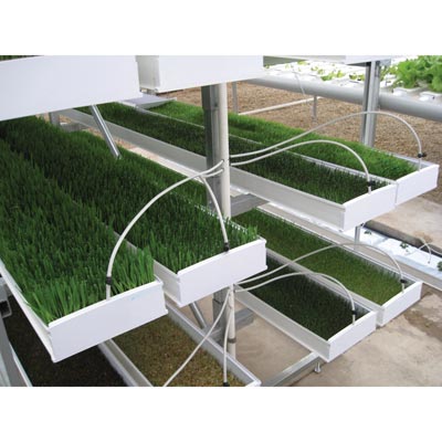 HydroCycle Microgreen Table