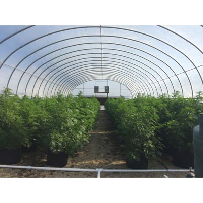 GrowSpan Series 750 Commercial Greenhouses