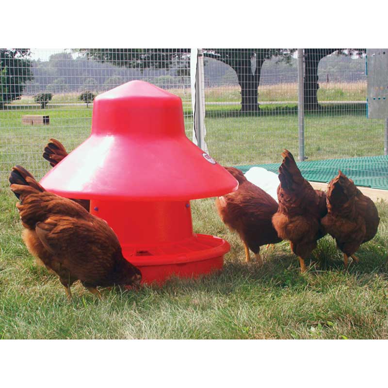 ChickInn Poultry Feeder 50 lb. Growers Supply