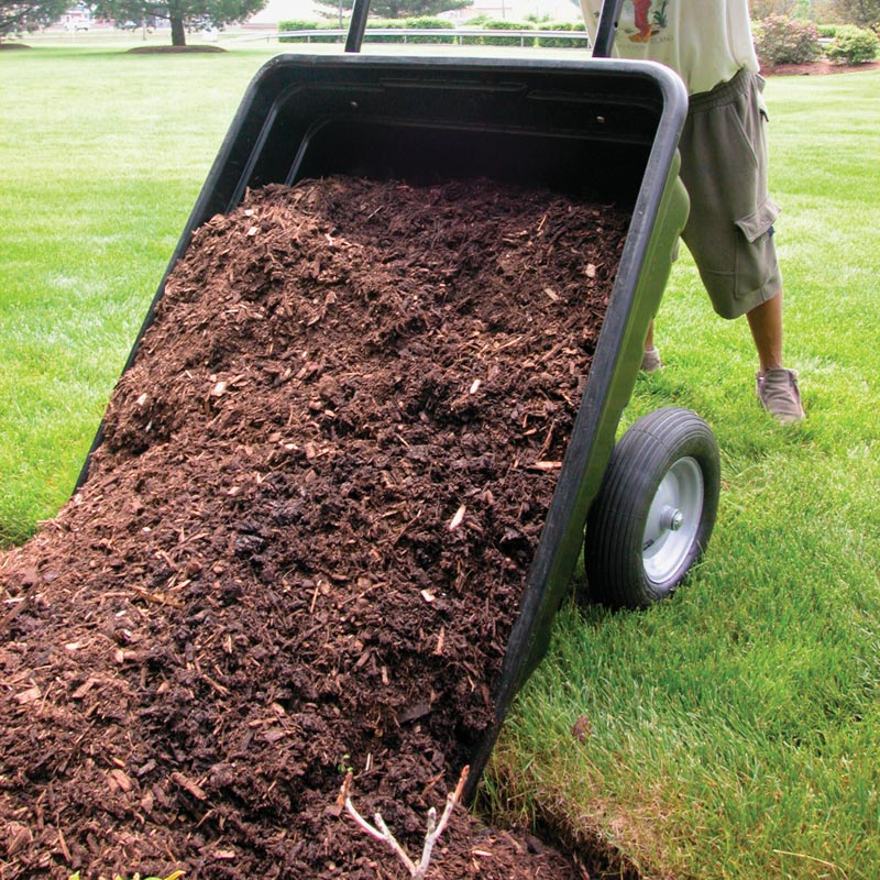 EZHaul Poly Dump Cart On Sale Growers Supply
