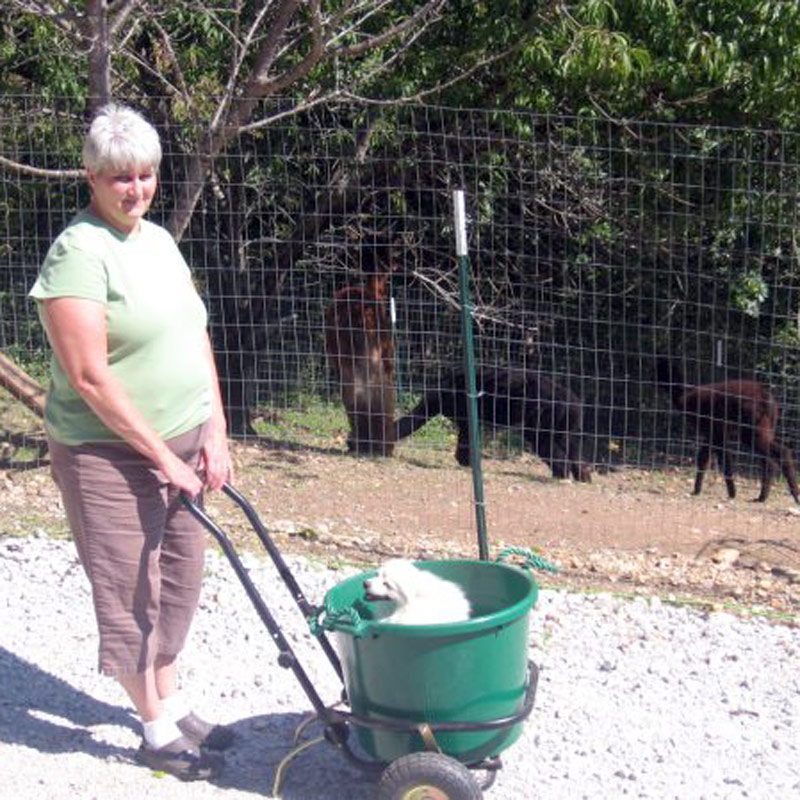 Muck Bucket 70Quart Growers Supply