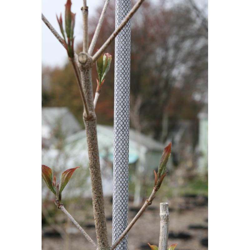 Fiberglass Tree Stake/Fence Post 3/8" x 8' Growers Supply