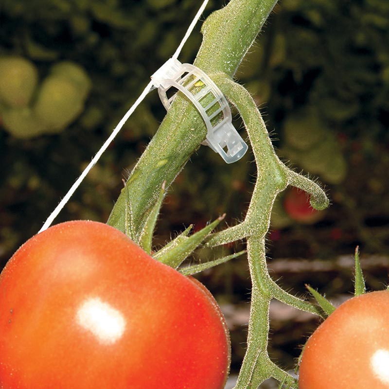 Standard Tomato Clips Box of 1,000 Growers Supply