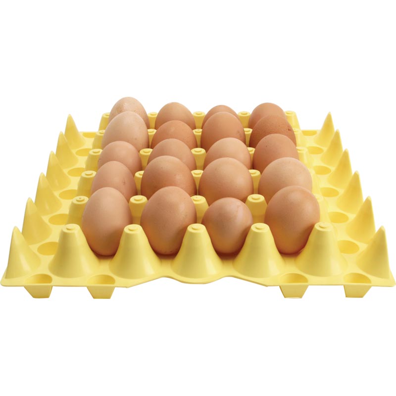 30Egg Plastic Tray Growers Supply