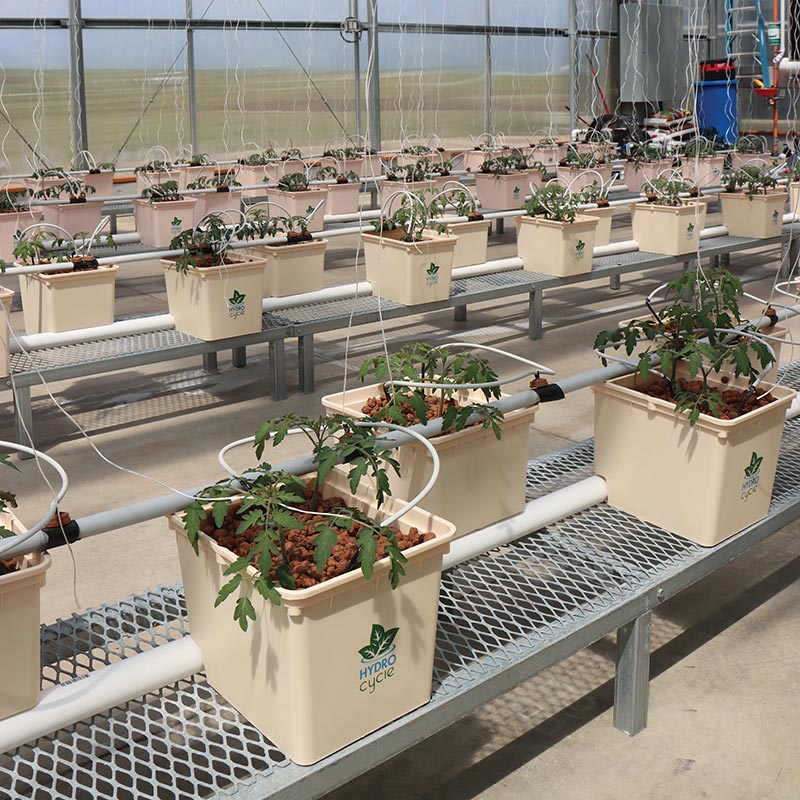 HydroCycle H110 Dutch Bucket System Closed Loop Growers Supply