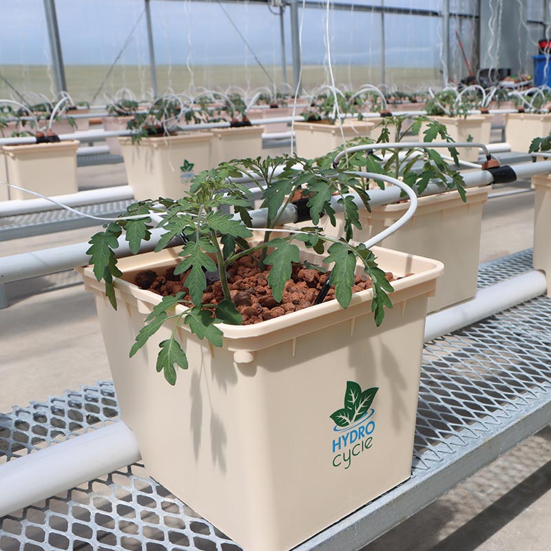 Dutch Bucket Low Profile Bench 19"W x 7"H x 144"L Growers Supply