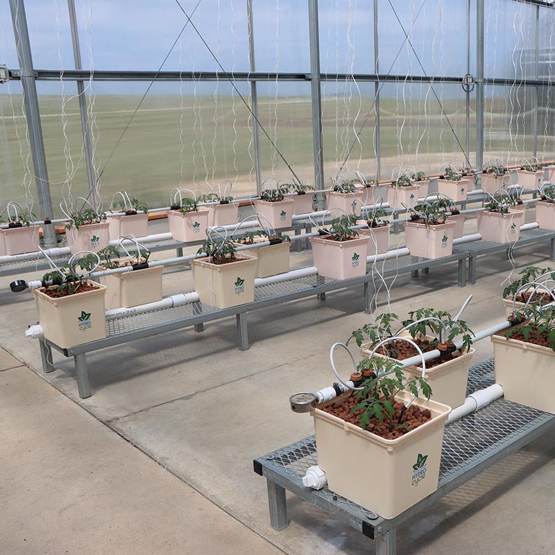 Dutch Bucket Low Profile Bench 19"W x 7"H x 144"L Growers Supply