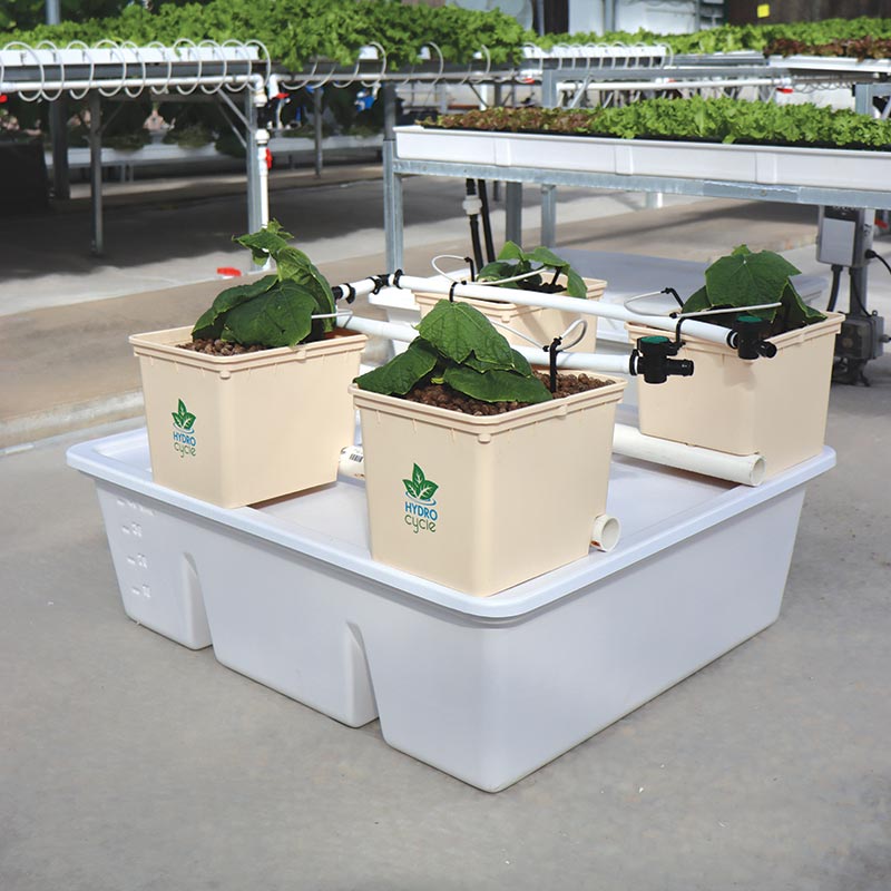 HydroCycle H24 Micro Dutch Bucket System Growers Supply