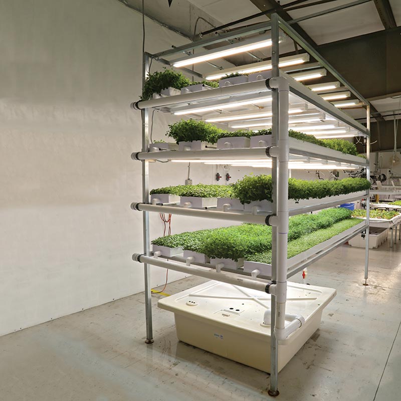 HydroCycle Pro Vertical Microgreen System 10'L Growers Supply